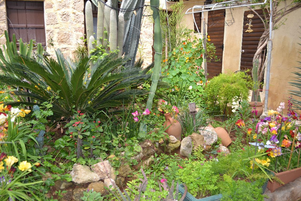 Mystery Garden Guest House Ammókhostos Eksteriør bilde