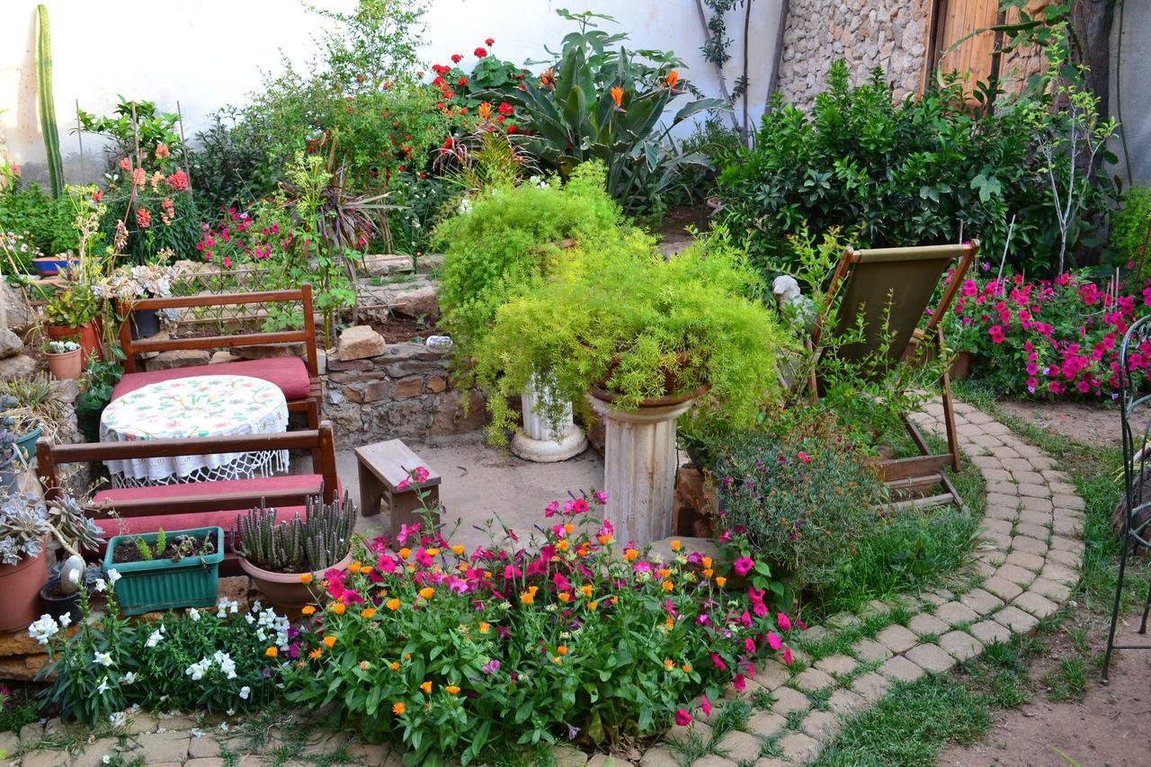 Mystery Garden Guest House Ammókhostos Eksteriør bilde