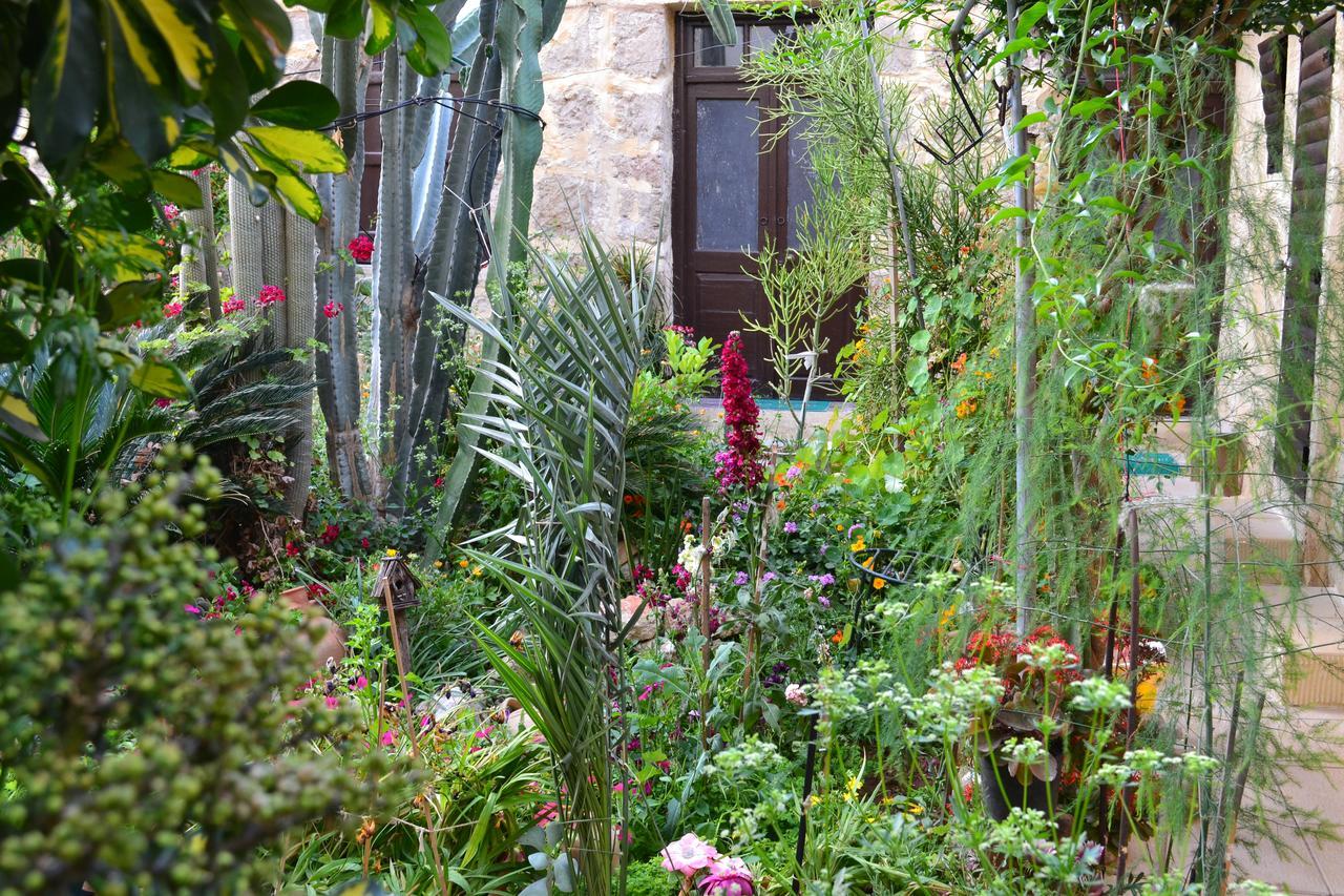Mystery Garden Guest House Ammókhostos Eksteriør bilde